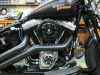 Filename=Crossbones_rocker_004.jpg
Filesize=209KB
Dimensions=640x480
Date added=Jan 28, 2009 Crossbones_rocker_004.jpg