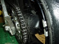 More Motorcycle Burnouts