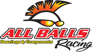 All Balls Racing Authorized Dealer